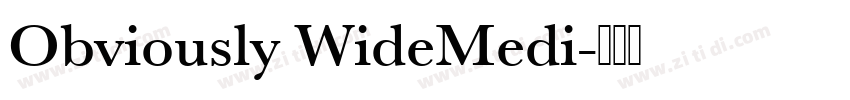 Obviously WideMedi字体转换